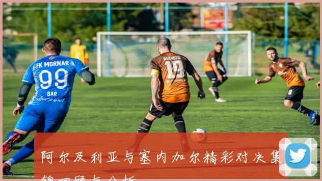 阿尔及利亚与塞内加尔精彩对决集锦回顾与分析