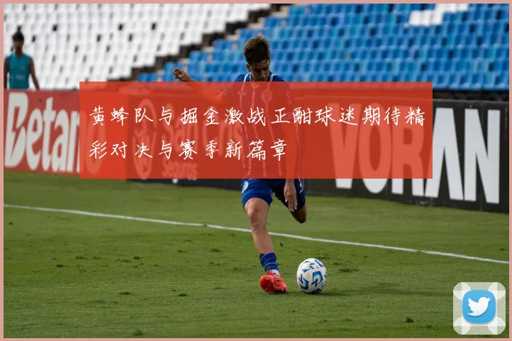 黄蜂队与掘金激战正酣球迷期待精彩对决与赛季新篇章