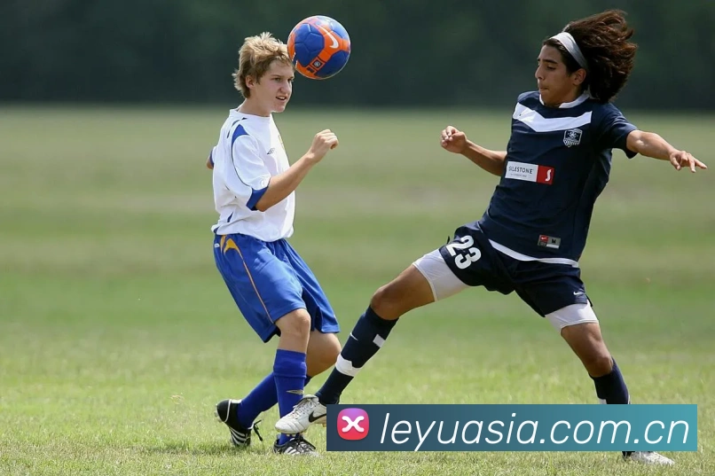 多媒体互动体验